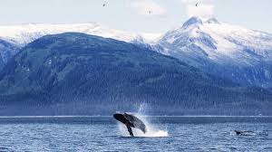 Juneau